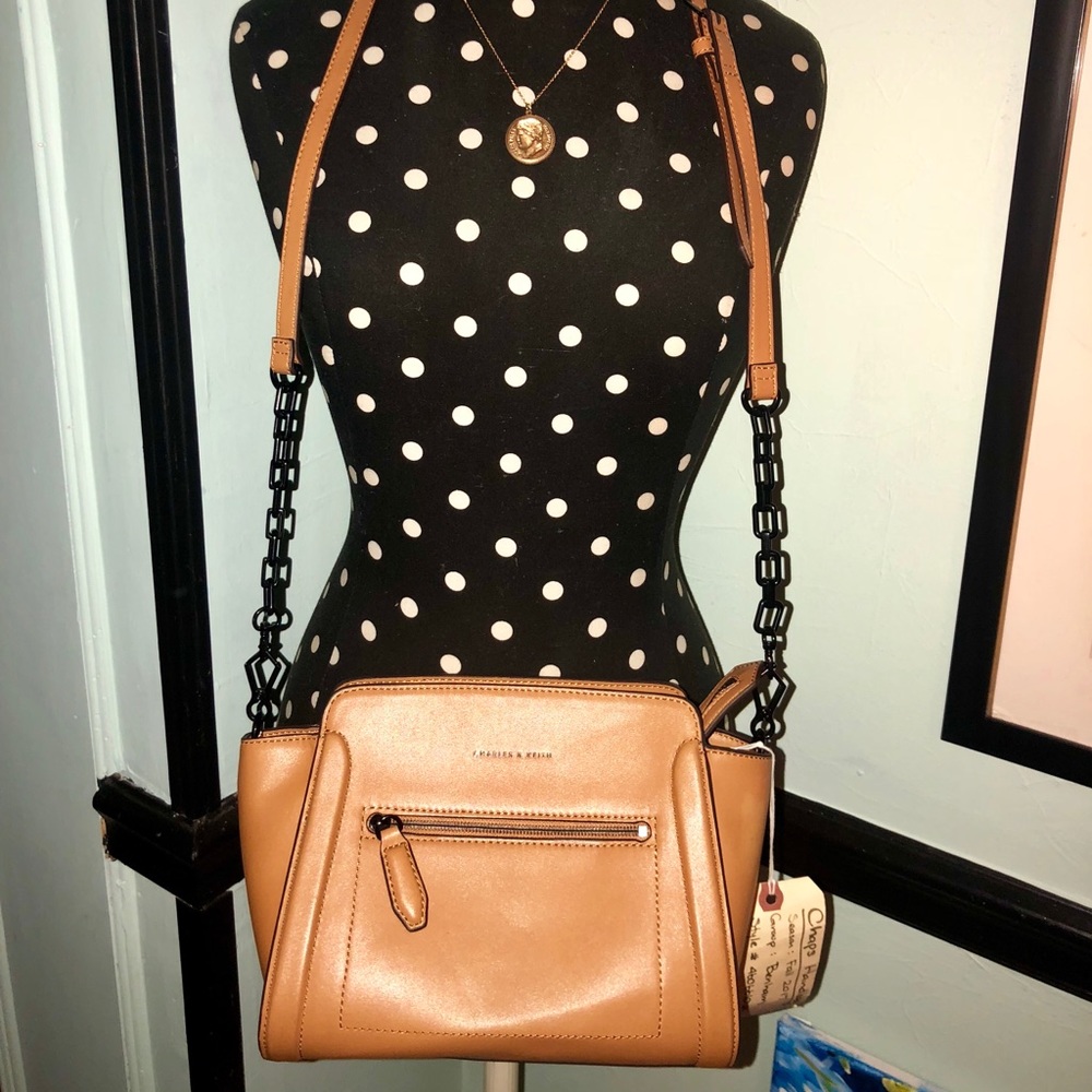 Charles and Keith purse!